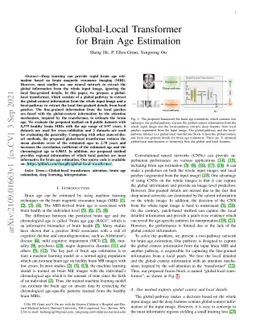 Global-Local Transformer for Brain Age Estimation