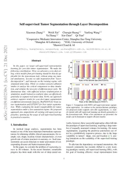 Self-supervised Tumor Segmentation through Layer Decomposition