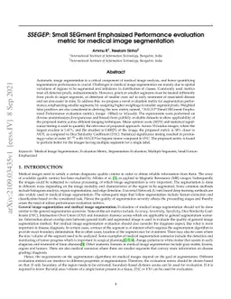 SSEGEP: Small SEGment Emphasized Performance evaluation metric for
  medical image segmentation