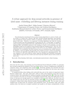 A robust approach for deep neural networks in presence of label noise:
  relabelling and filtering instances during training