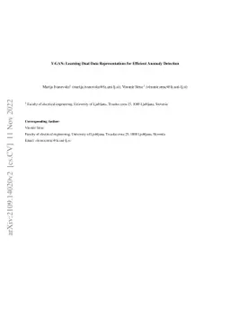 Y-GAN: Learning Dual Data Representations for Efficient Anomaly
  Detection