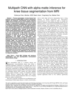 Multipath CNN with alpha matte inference for knee tissue segmentation
  from MRI