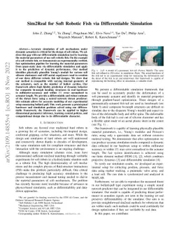 Sim2Real for Soft Robotic Fish via Differentiable Simulation