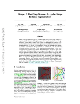 iShape: A First Step Towards Irregular Shape Instance Segmentation