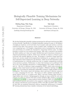 Biologically Plausible Training Mechanisms for Self-Supervised Learning
  in Deep Networks