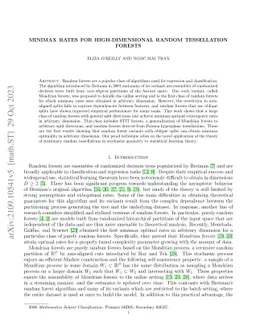 Minimax Rates for High-Dimensional Random Tessellation Forests