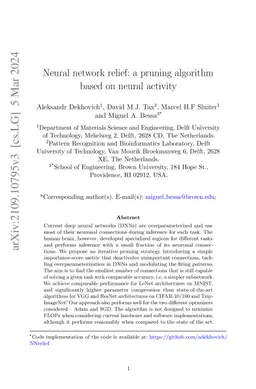Neural network relief: a pruning algorithm based on neural activity