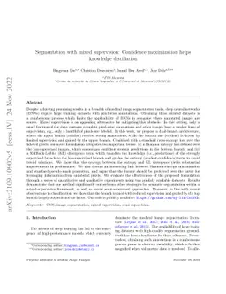 Segmentation with mixed supervision: Confidence maximization helps
  knowledge distillation