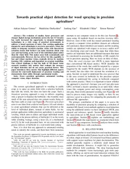 Towards practical object detection for weed spraying in precision
  agriculture
