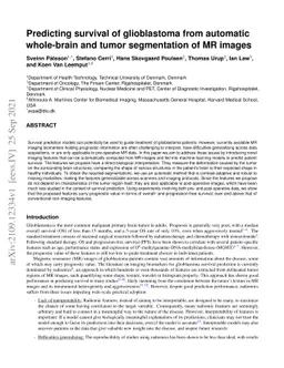 Predicting survival of glioblastoma from automatic whole-brain and tumor
  segmentation of MR images