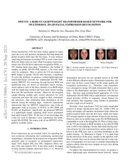 MFEViT: A Robust Lightweight Transformer-based Network for Multimodal
  2D+3D Facial Expression Recognition