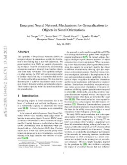 Emergent Neural Network Mechanisms for Generalization to Objects in
  Novel Orientations