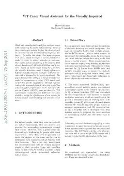 ViT Cane: Visual Assistant for the Visually Impaired