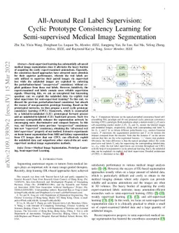 All-Around Real Label Supervision: Cyclic Prototype Consistency Learning
  for Semi-supervised Medical Image Segmentation