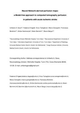 Neural Network-derived perfusion maps: a Model-free approach to computed
  tomography perfusion in patients with acute ischemic stroke
