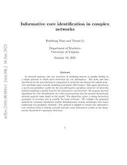 Informative core identification in complex networks