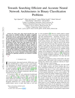Towards Searching Efficient and Accurate Neural Network Architectures in
  Binary Classification Problems