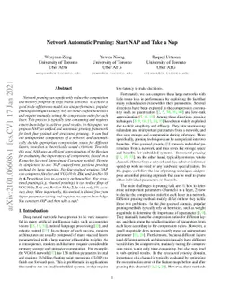 Network Automatic Pruning: Start NAP and Take a Nap