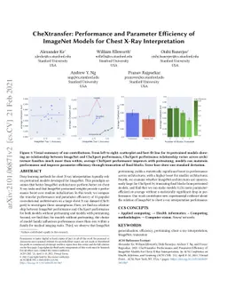CheXtransfer: Performance and Parameter Efficiency of ImageNet Models
  for Chest X-Ray Interpretation