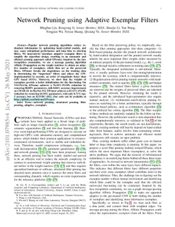 Network Pruning using Adaptive Exemplar Filters