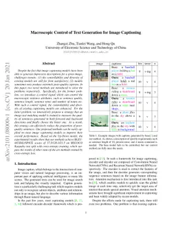 Macroscopic Control of Text Generation for Image Captioning