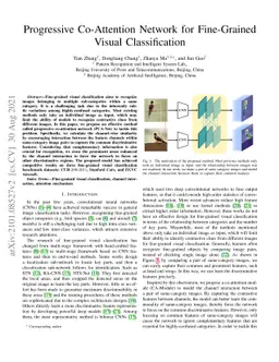 Progressive Co-Attention Network for Fine-grained Visual Classification