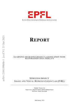 Learning degraded image classification with restoration data fidelity