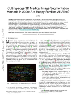 Cutting-edge 3D Medical Image Segmentation Methods in 2020: Are Happy
  Families All Alike?
