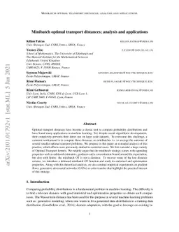 Minibatch optimal transport distances; analysis and applications