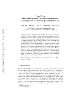 HAVANA: Hierarchical and Variation-Normalized Autoencoder for Person
  Re-identification