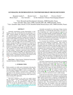 Leveraging 3D Information in Unsupervised Brain MRI Segmentation