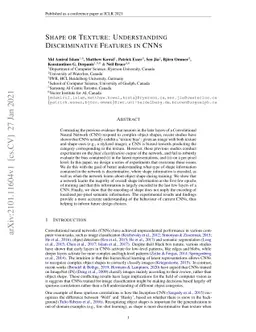 Shape or Texture: Understanding Discriminative Features in CNNs