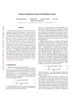 Neural Architecture Search with Random Labels