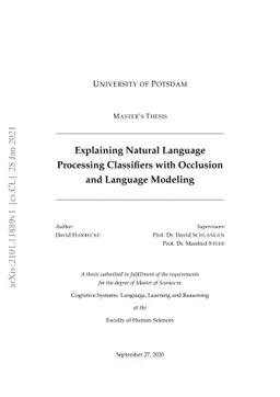 Explaining Natural Language Processing Classifiers with Occlusion and
  Language Modeling