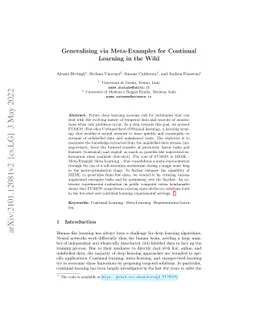 Generalising via Meta-Examples for Continual Learning in the Wild