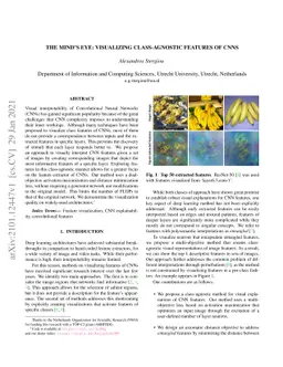 The Mind's Eye: Visualizing Class-Agnostic Features of CNNs