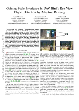 Gaining Scale Invariance in UAV Bird's Eye View Object Detection by
  Adaptive Resizing