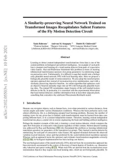 A Similarity-preserving Neural Network Trained on Transformed Images
  Recapitulates Salient Features of the Fly Motion Detection Circuit