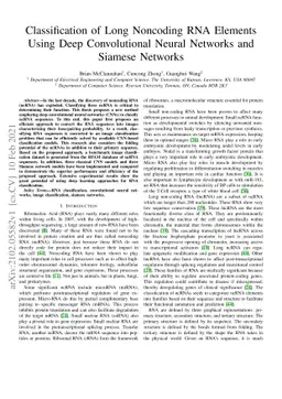 Classification of Long Noncoding RNA Elements Using Deep Convolutional
  Neural Networks and Siamese Networks