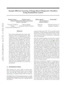 Sample Efficient Learning of Image-Based Diagnostic Classifiers Using
  Probabilistic Labels