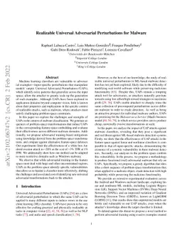 Realizable Universal Adversarial Perturbations for Malware