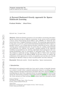A Forward Backward Greedy approach for Sparse Multiscale Learning