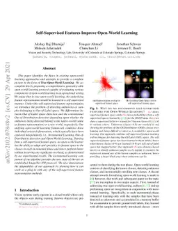 Self-Supervised Features Improve Open-World Learning