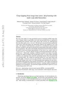 Crop mapping from image time series: deep learning with multi-scale
  label hierarchies