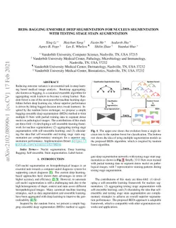 BEDS: Bagging ensemble deep segmentation for nucleus segmentation with
  testing stage stain augmentation