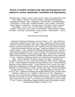 NuCLS: A scalable crowdsourcing, deep learning approach and dataset for
  nucleus classification, localization and segmentation