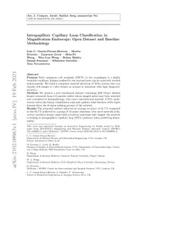 Intrapapillary Capillary Loop Classification in Magnification Endoscopy:
  Open Dataset and Baseline Methodology