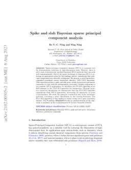 Spike and slab Bayesian sparse principal component analysis