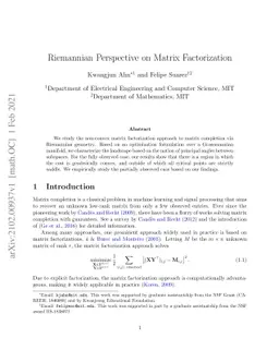 Riemannian Perspective on Matrix Factorization