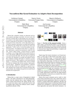 Non-uniform Blur Kernel Estimation via Adaptive Basis Decomposition